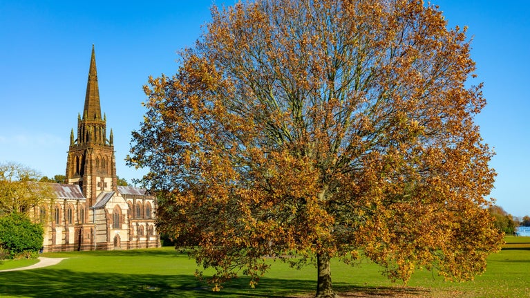 The Chapel and Pleasure Grounds